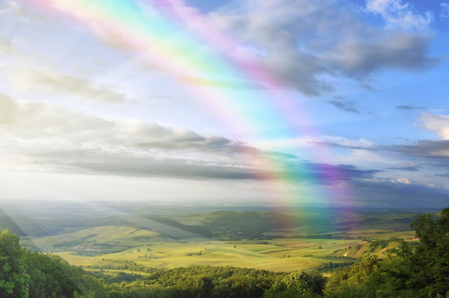 Beautiful Rainbow over Field